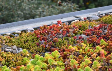the cost of Fort George green roof installation