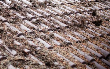 Fort George roof cleaning companies